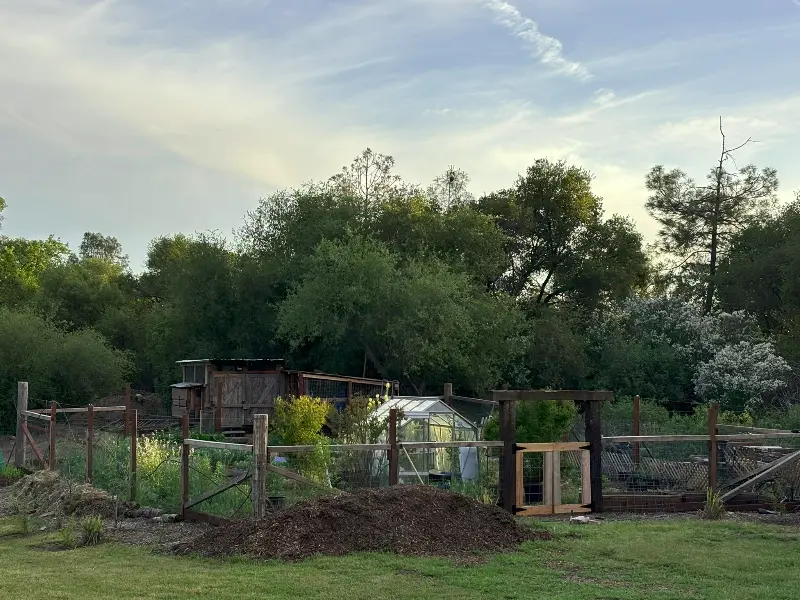 Project photo 9